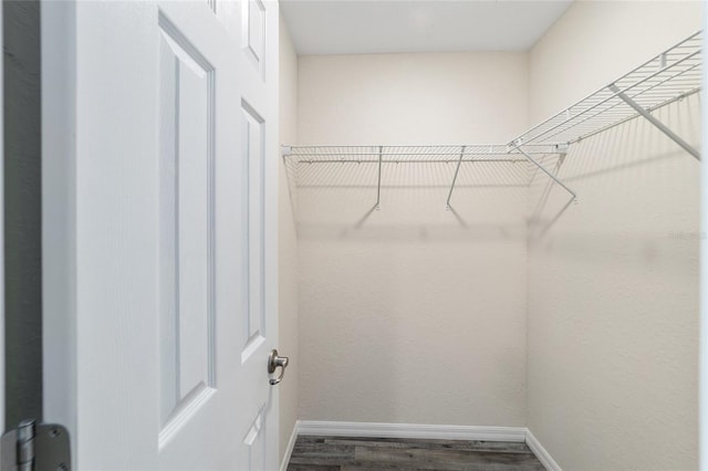 spacious closet featuring dark wood finished floors