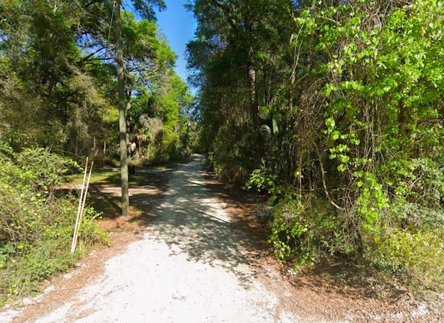 400 SE 145th Ave, Old Town FL, 32680 land for sale