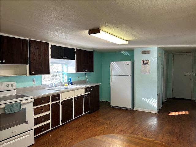 kitchen with white appliances, dark wood-type flooring, a textured ceiling, dark brown cabinetry, and sink