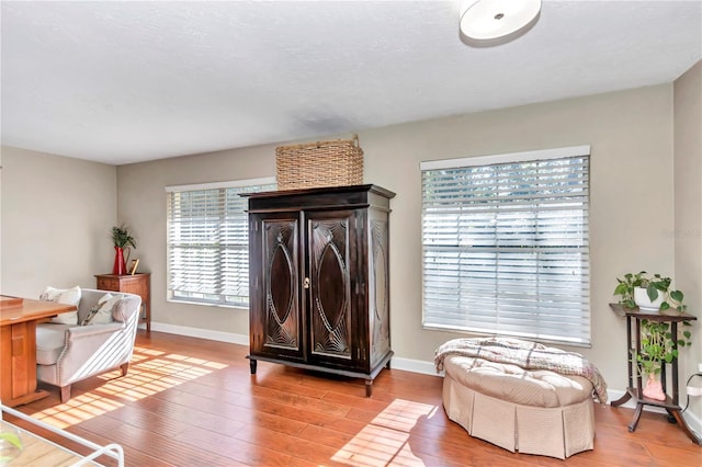 living room with light hardwood / wood-style flooring