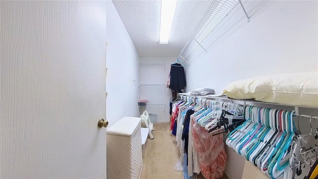 spacious closet featuring carpet