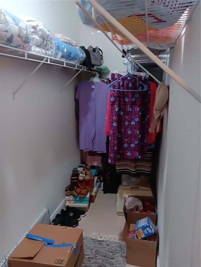 view of spacious closet