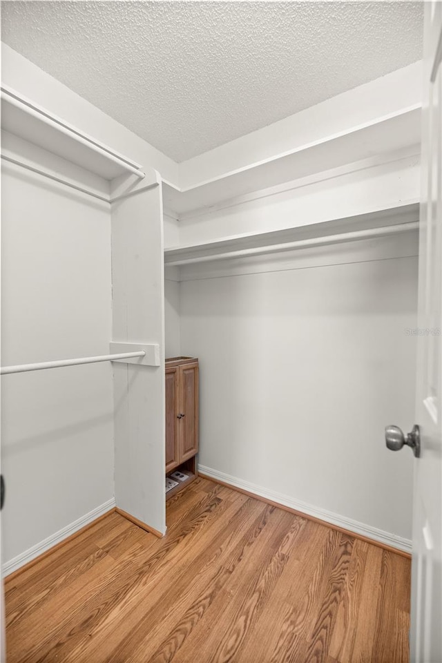 walk in closet with light hardwood / wood-style flooring