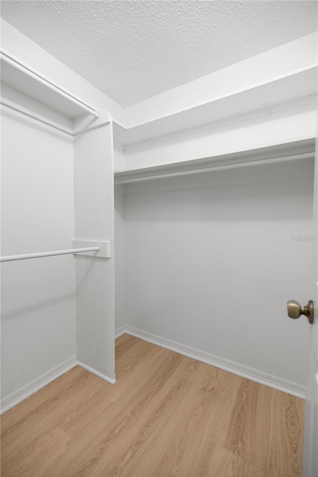 3856 NE 19th Street Cir, Ocala, FL 34470 - walk in closet featuring light wood-style floors