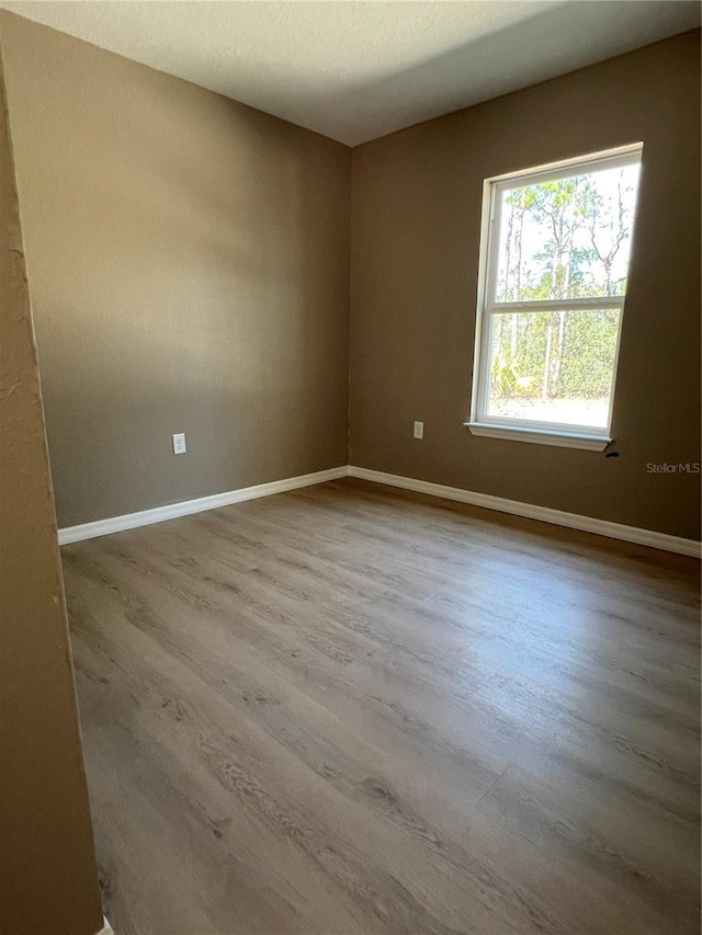 spare room featuring wood-type flooring