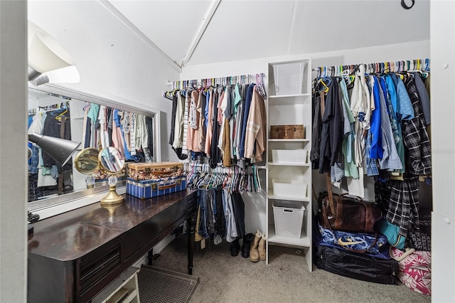 spacious closet featuring lofted ceiling