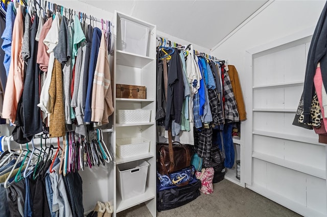 walk in closet with carpet floors