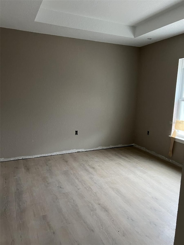 spare room featuring a tray ceiling and light hardwood / wood-style flooring