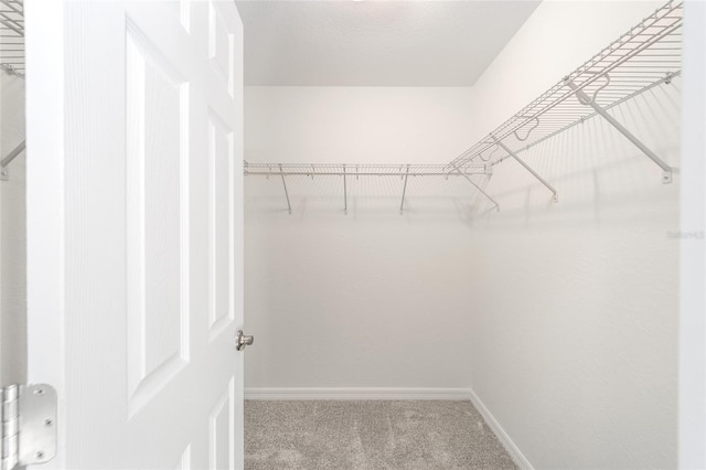 spacious closet with carpet floors