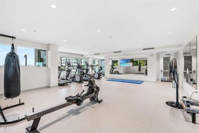 exercise room with a healthy amount of sunlight