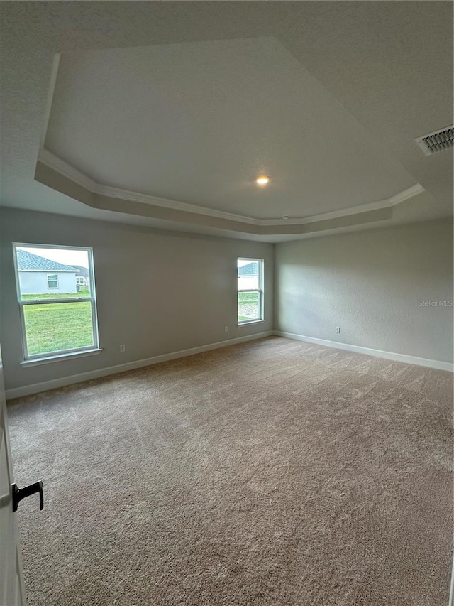 empty room with carpet flooring and a tray ceiling