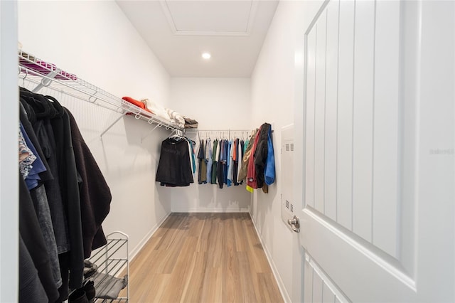 spacious closet featuring light hardwood / wood-style flooring