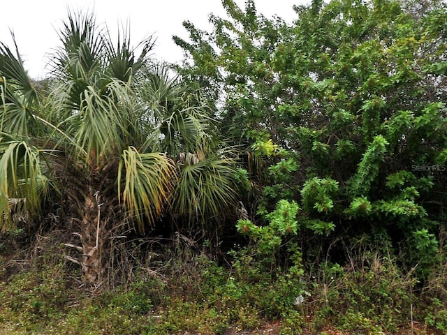 Listing photo 2 for LOT12 Cathedall, North Port FL 34288