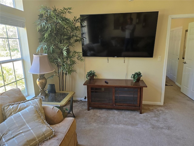 living room featuring light colored carpet