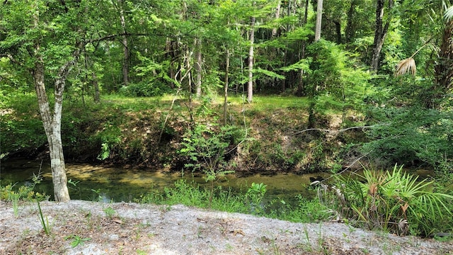 view of local wilderness