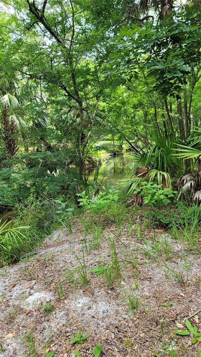 view of landscape featuring a water view