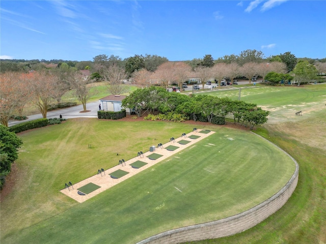 view of community with a yard