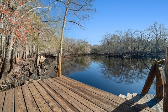 dock area featuring a water view