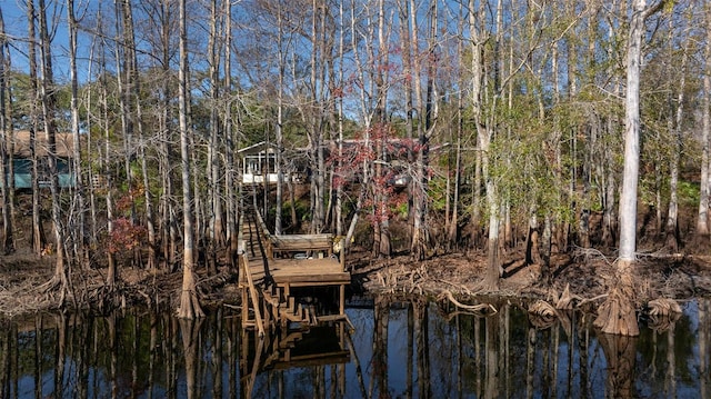 view of water feature featuring a dock