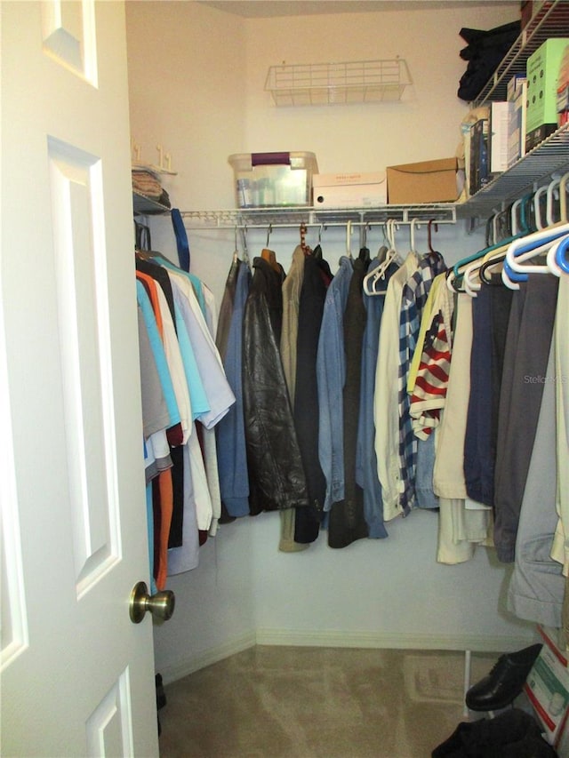 view of walk in closet