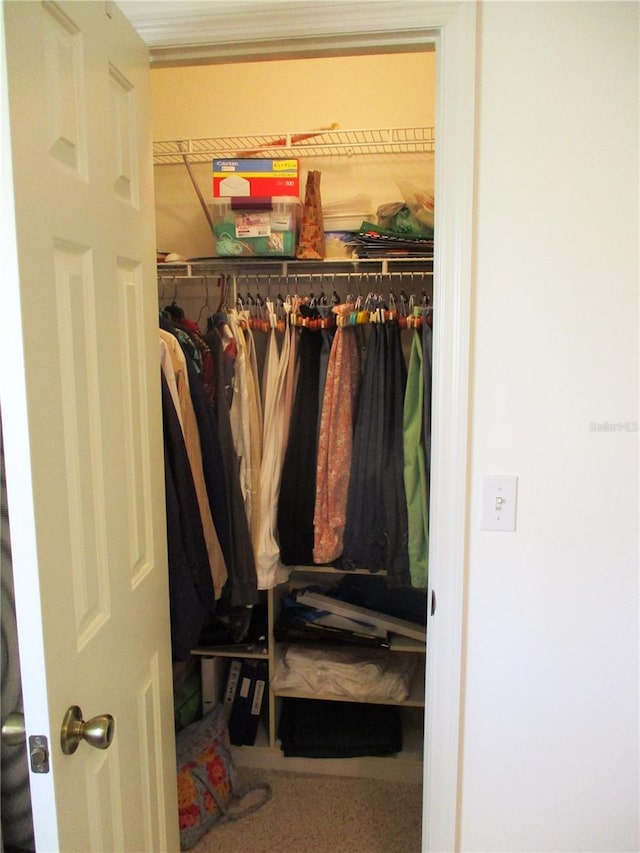 view of walk in closet