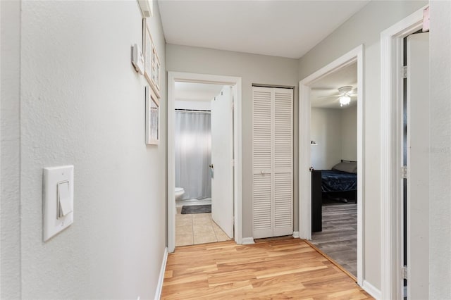 corridor featuring light hardwood / wood-style floors