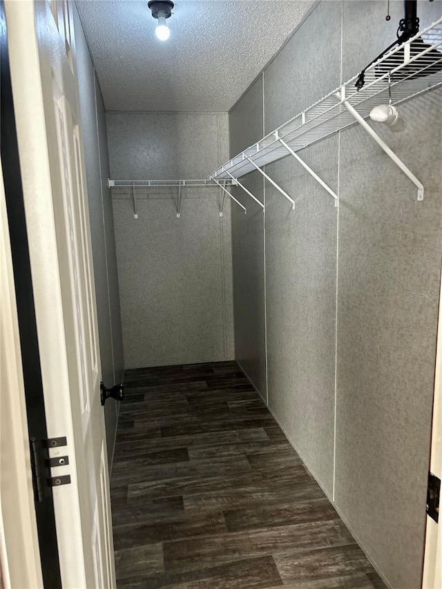 spacious closet featuring dark hardwood / wood-style floors