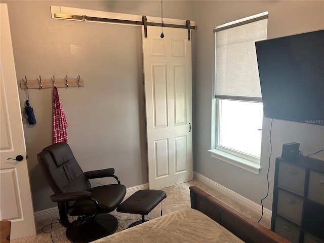 interior space featuring a barn door and carpet flooring