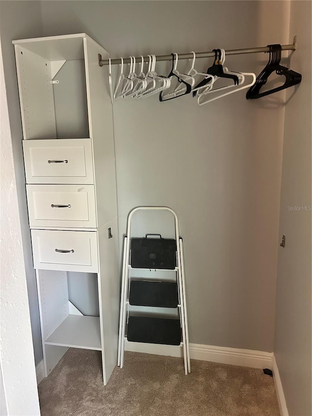 spacious closet with carpet