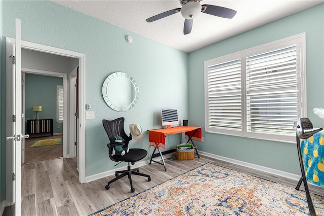 home office featuring ceiling fan, light hardwood / wood-style flooring, and a textured ceiling