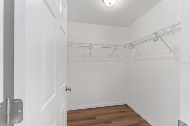 walk in closet with hardwood / wood-style flooring