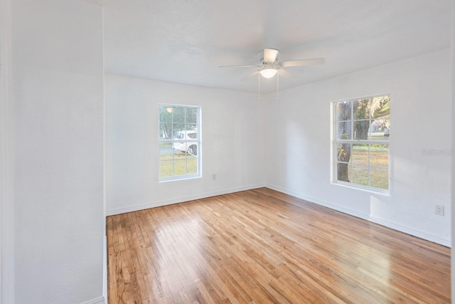 empty room featuring ceiling fan and light hardwood / wood-style flooring