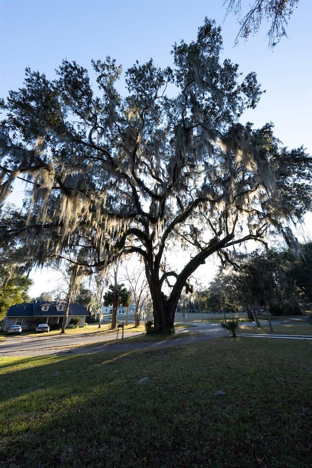 view of property's community with a lawn