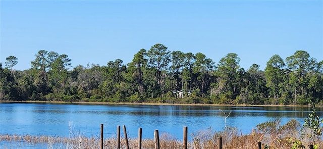 000 Malauka Radl, Ocklawaha FL, 32179 land for sale