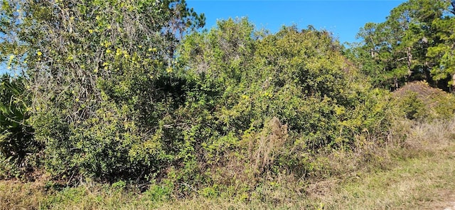 Listing photo 2 for 000 Malauka Radl, Ocklawaha FL 32179