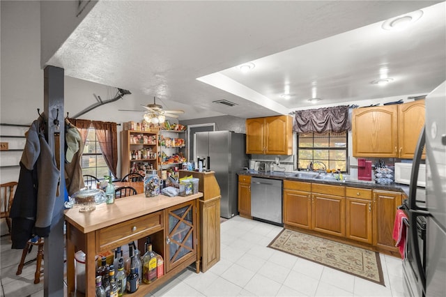 kitchen with appliances with stainless steel finishes, ceiling fan, a wealth of natural light, and sink