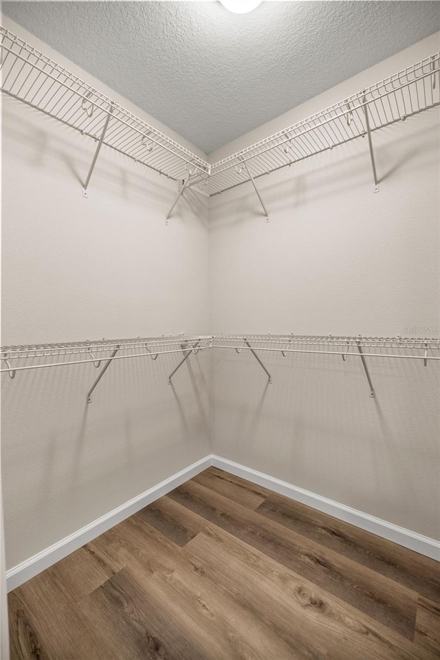 walk in closet featuring hardwood / wood-style floors