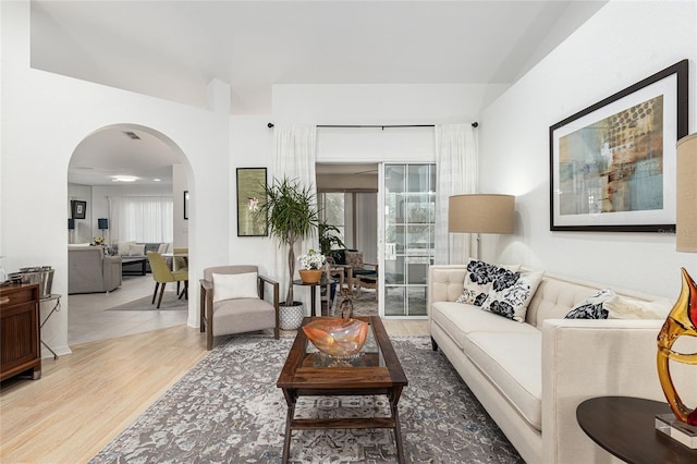 living room with wood-type flooring