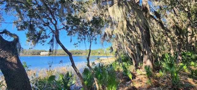 0000 Malauka Radl, Ocklawaha FL, 32179 land for sale