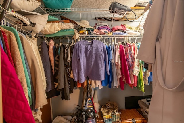 view of walk in closet