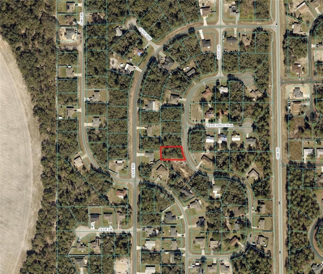 Olive Dr, Ocala FL, 34472 land for sale