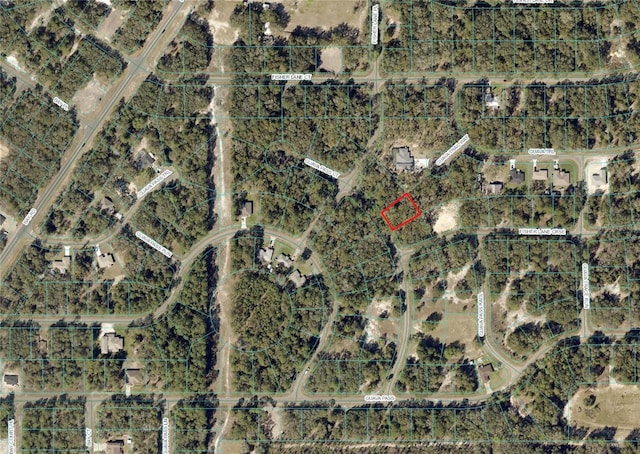 Guava Pass Ct, Ocklawaha FL, 32179 land for sale