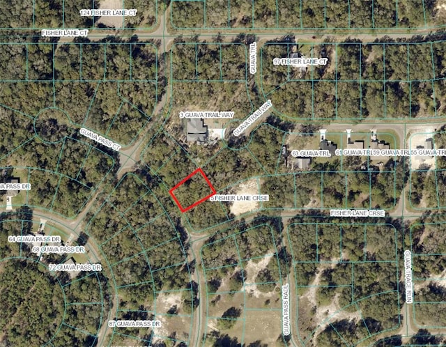 Listing photo 2 for Guava Pass Ct, Ocklawaha FL 32179