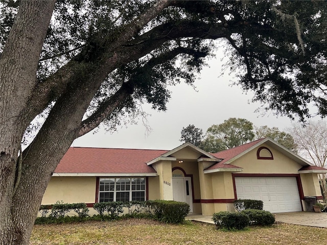 ranch-style house with driveway, a shingled roof, a garage, and stucco siding