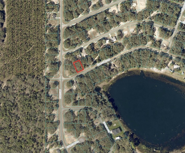 Fisher Way Loop, Ocklawaha FL, 32179 land for sale