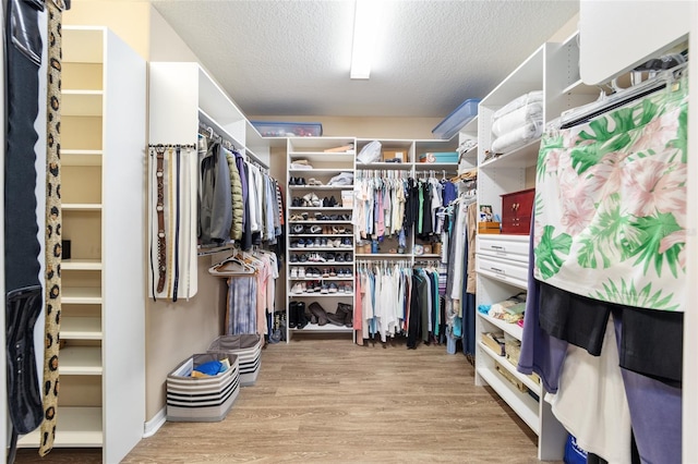 spacious closet with light wood-type flooring