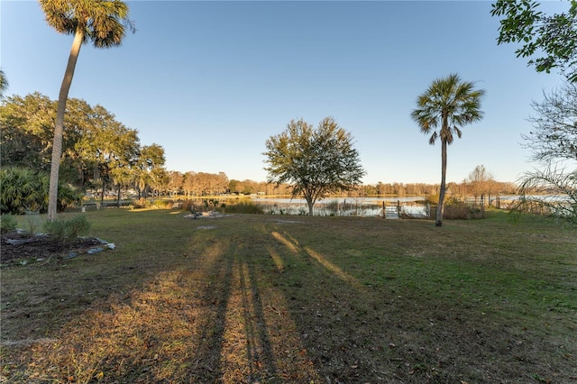 view of yard featuring a water view and a rural view