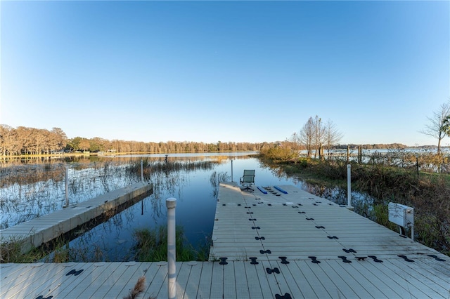 dock area with a water view