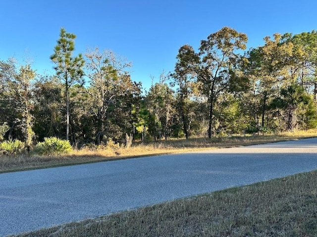 Listing photo 2 for 12098 Lark Sparrow Rd, Brooksville FL 34614