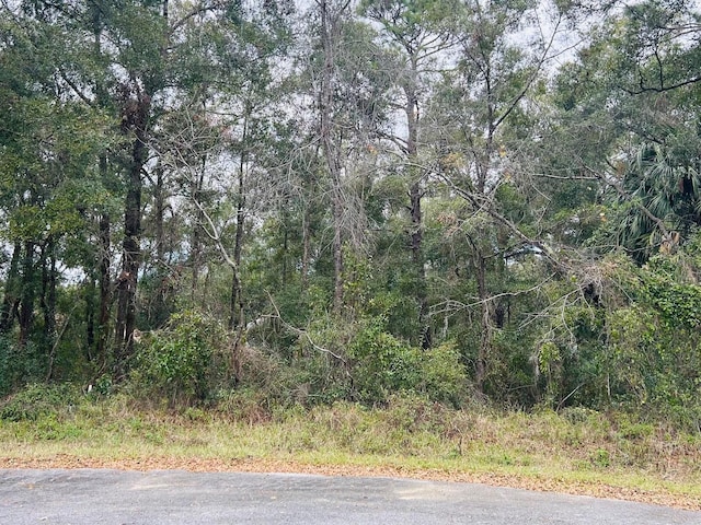 TBA SW 97th Loop, Dunnellon FL, 34432 land for sale